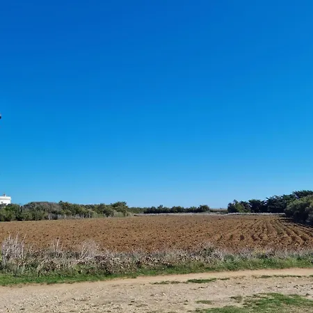 Pet Friendly Home In Sainte-Gemme Feriehus Sainte-Gemme (Charente-Maritime)